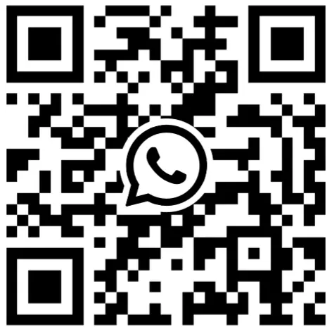 whatsapp grace xie 2024101202594971