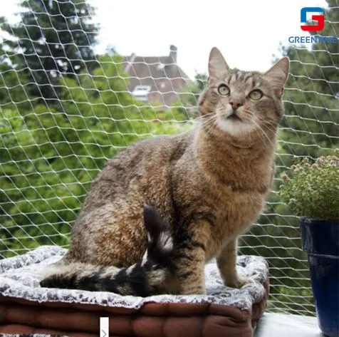 Cat Safety Net 1 2024091906110421