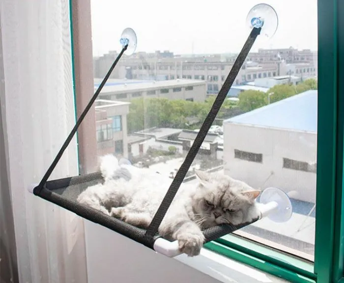 Cat Window Bed 1 2024091906160125