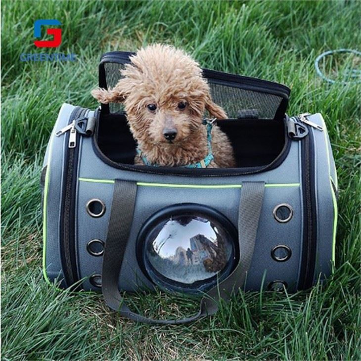 Pet Travel Carrier Bag