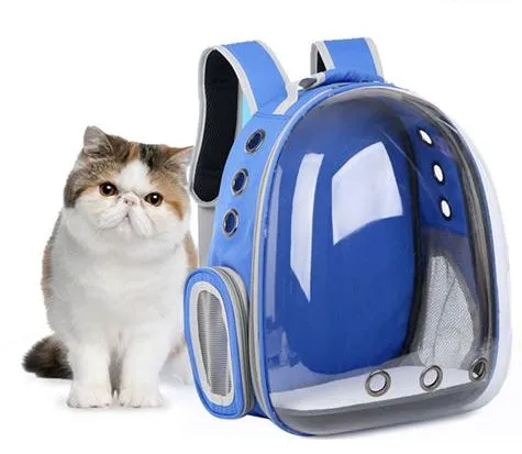 Transparent Cat Backpack 1 2024091906074260