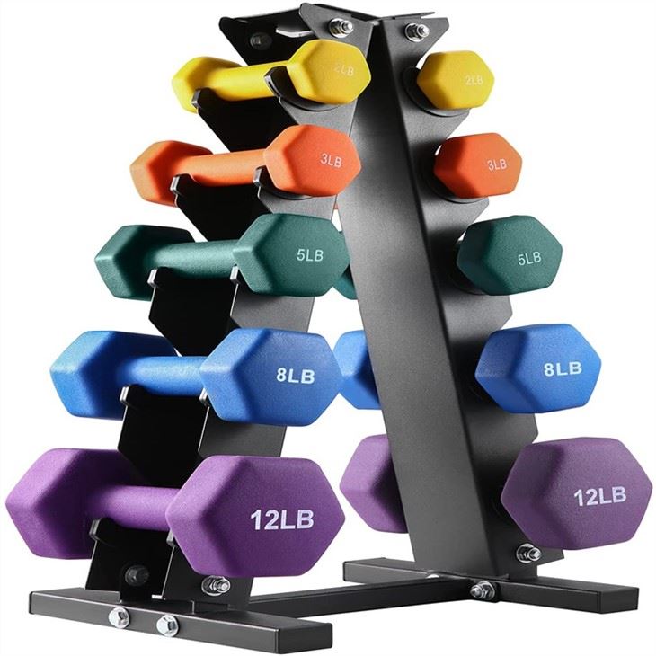 1Set Popular Basics Neoprene Coated Dumbbell