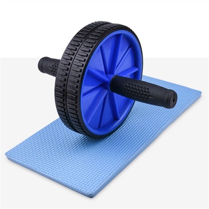 600g Effective Dual Ab Wheel