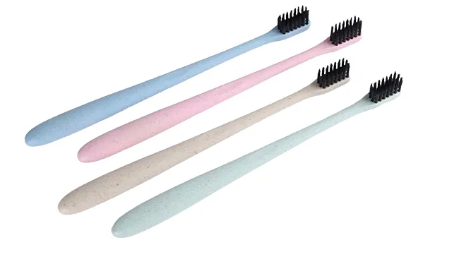 12 removebg preview 1 2024091906224640