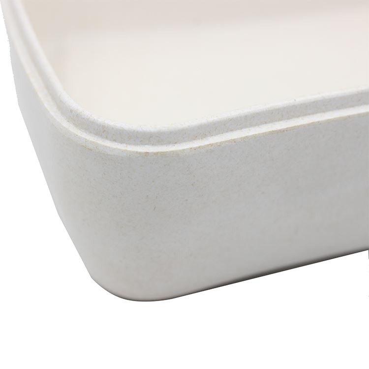 IMG_1641removebg-preview