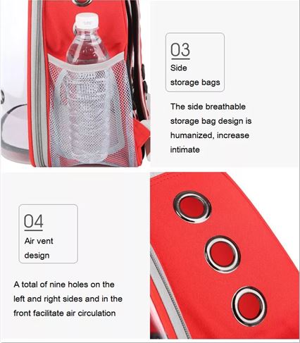 Transparent Cat Backpack