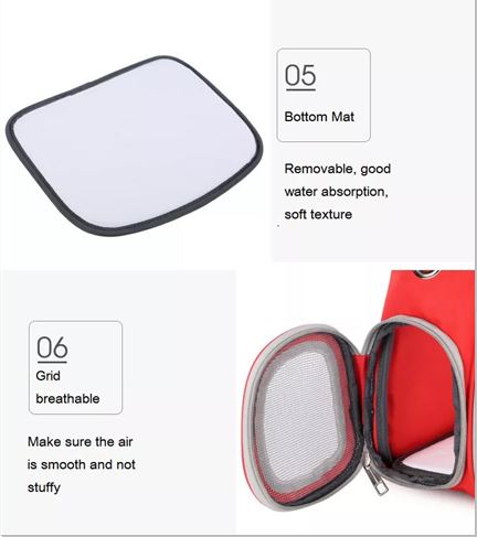 Transparent Cat Backpack