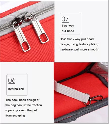 Transparent Cat Backpack