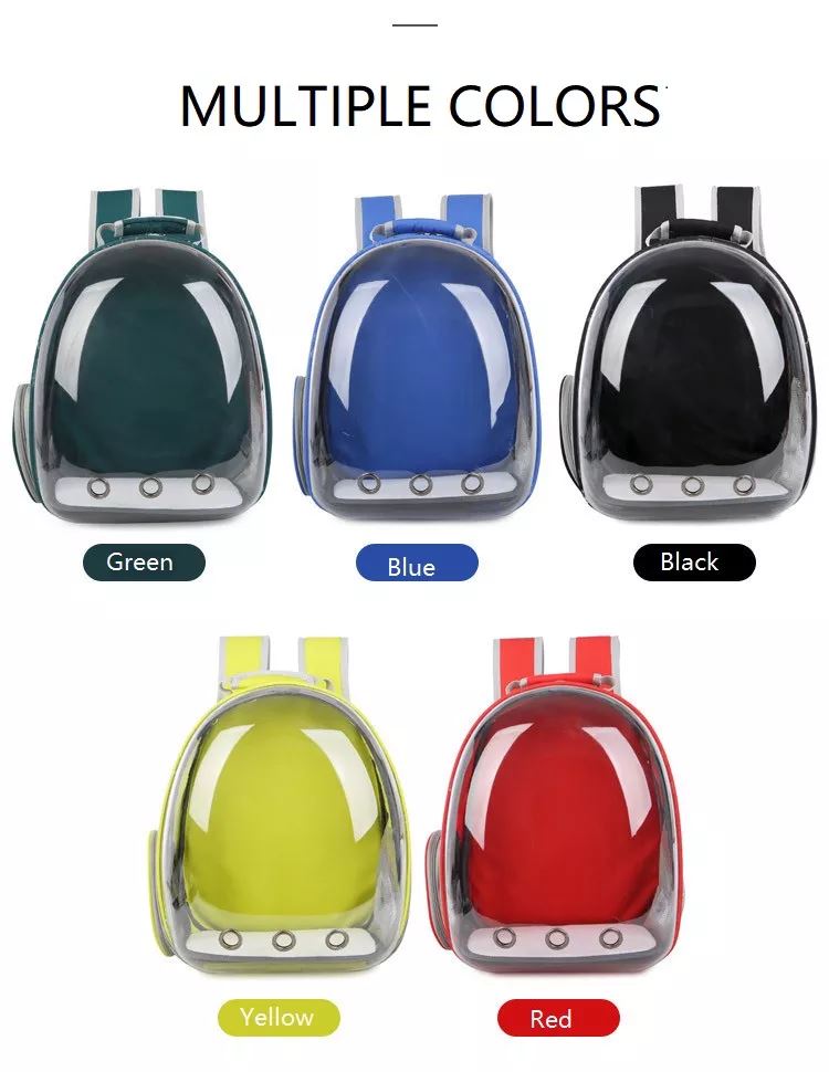 Transparent Cat Backpack