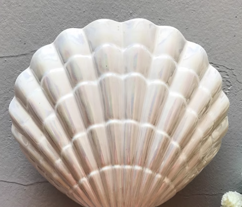 Shell Shape Bathroom Accessory Set