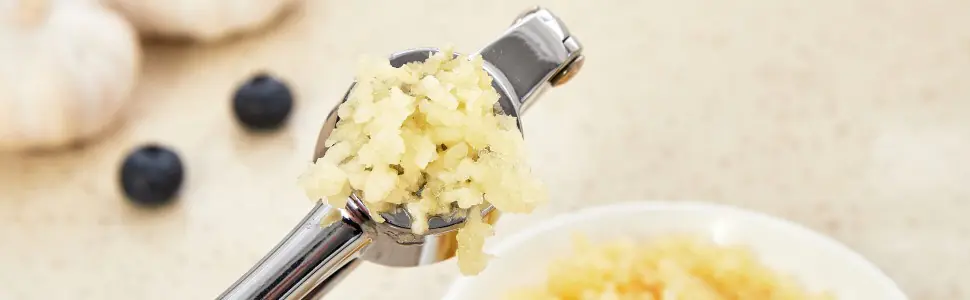 Garlic Press 9 2025012202362553
