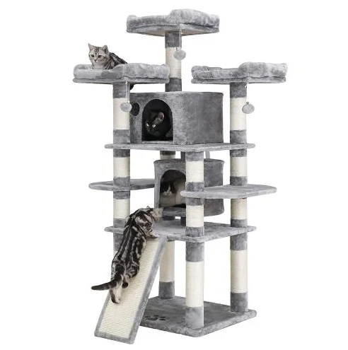 2car climber 1 2025021408004098