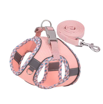 Dog harness 1 2025021301194320