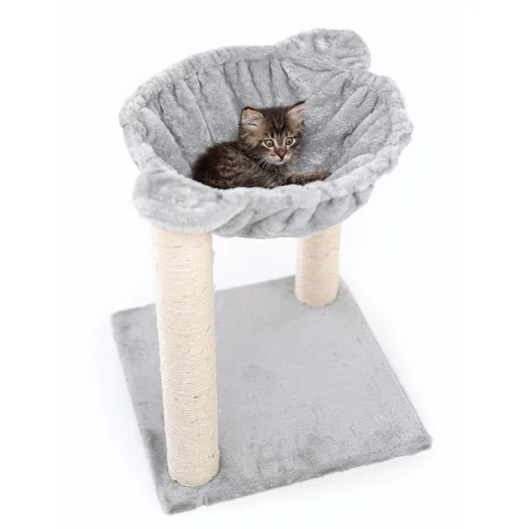 car climber 1 2025021403254233