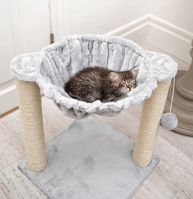 car climber 2 2025021403260642 car climber 2 2025021403260642