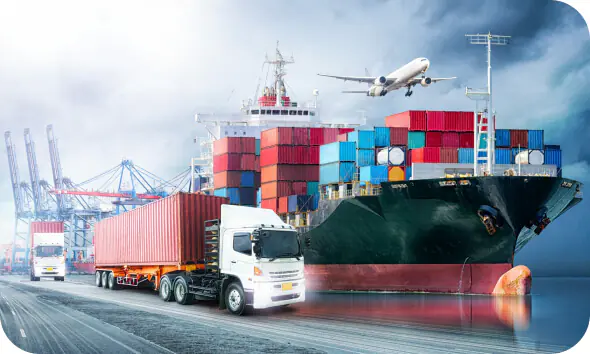 Logistics and Export Considerations