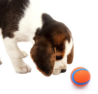 Sound ball3 2025031904030619 Sound ball3 2025031904030619