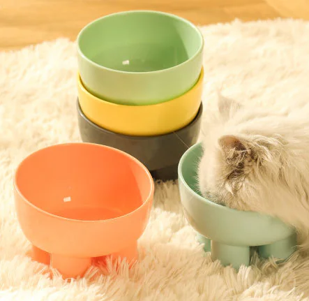 kit bol5 2025031906205621 kit bol5 2025031906205621