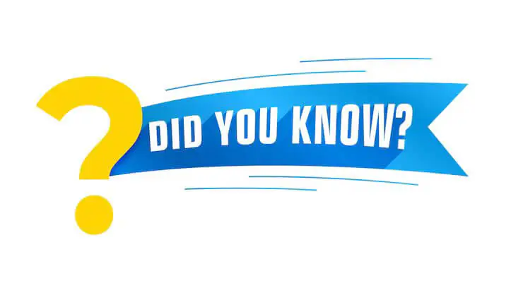 Why Choose China Socks OEM