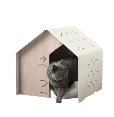 MW1 2025062506480378