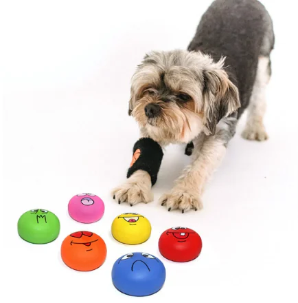 SQ2 2025062506432564