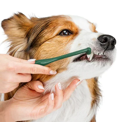 brush2 2025081409313544 brush2 2025081409313544