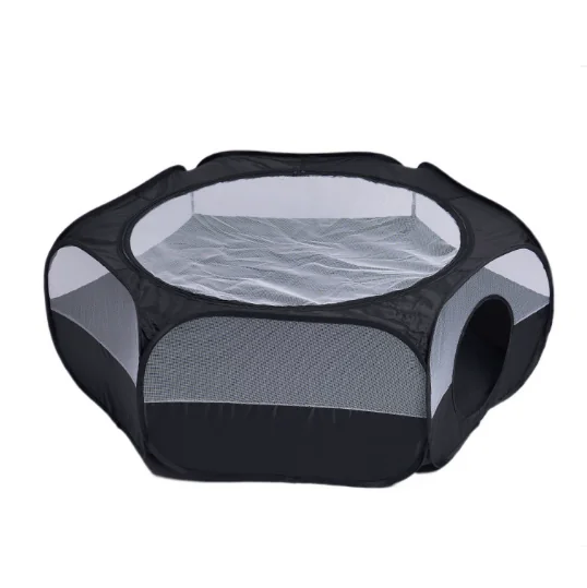 cat temp1 2025081408141591