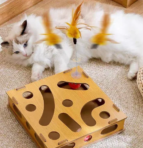 catwt2 2025081408055356 catwt2 2025081408055356