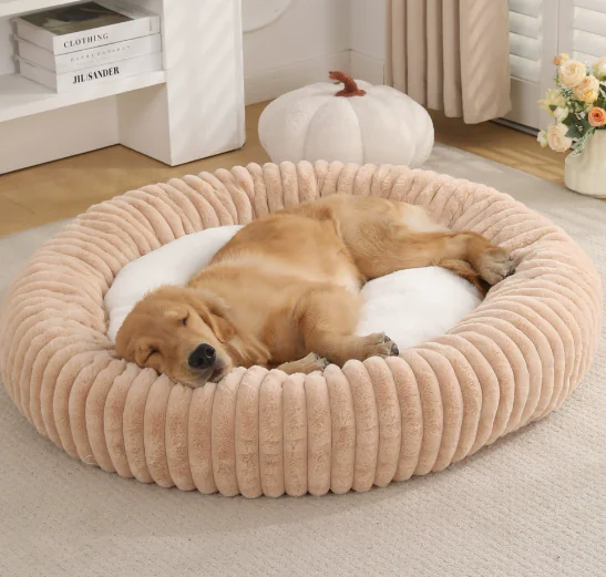 d2 2025081409274488 d2 2025081409274488