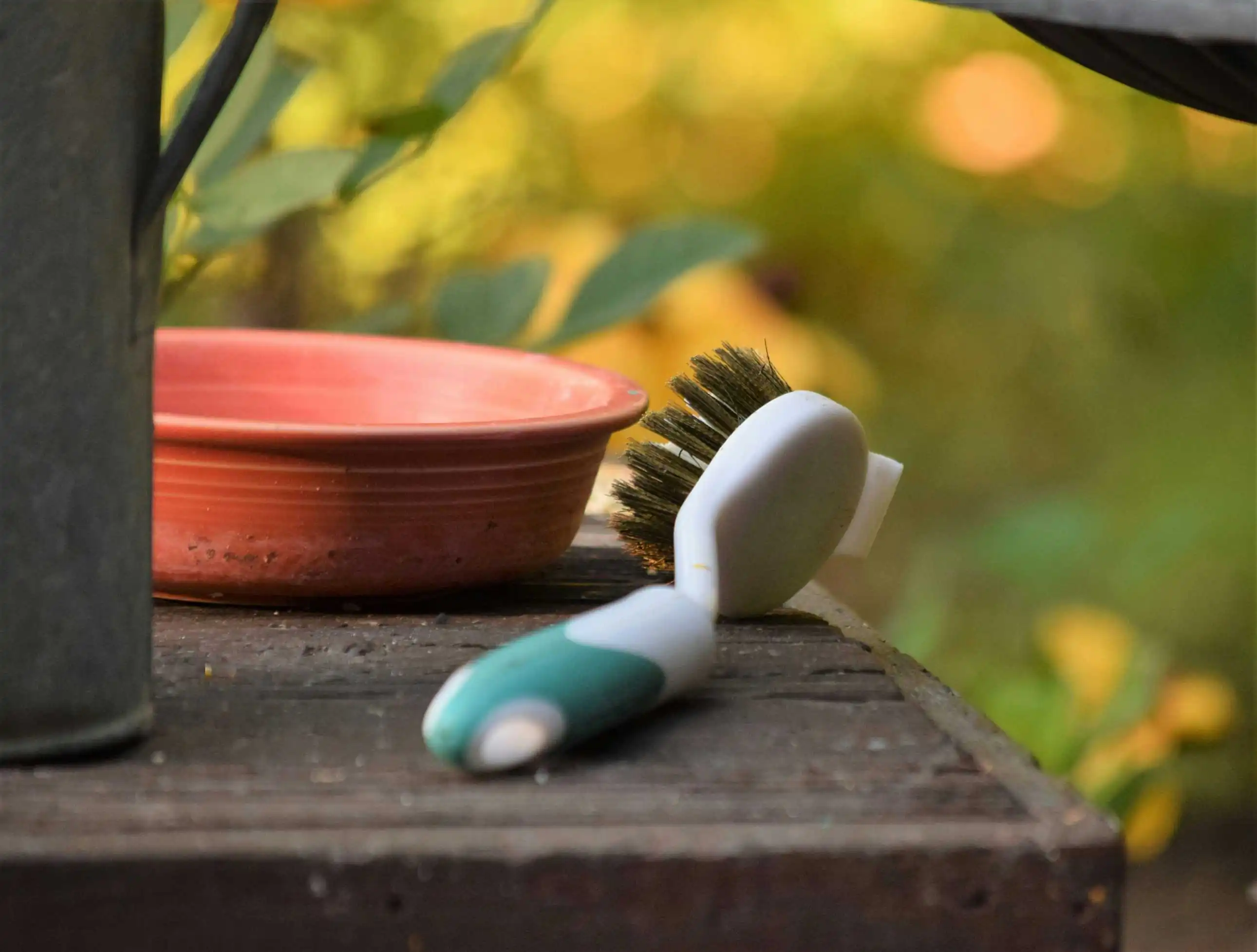 fr0ggy5 DO OmSS59Wc unsplash