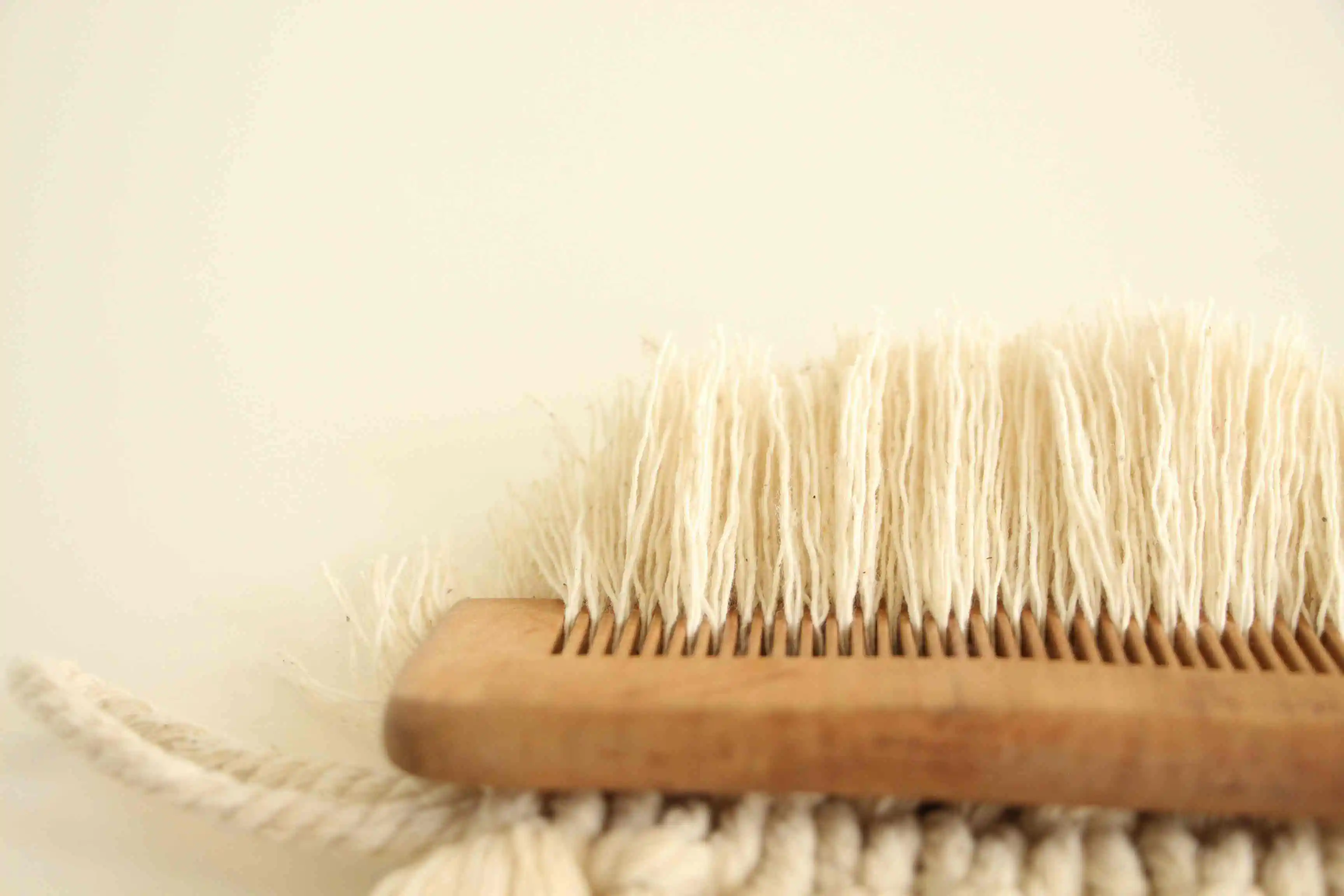 sareh askarzadeh A ghG2sTwdo unsplash