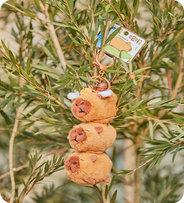 Personalized1 2026012309295443