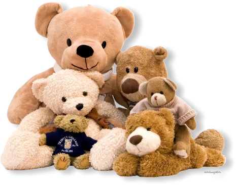 beer pet 2025122610170457